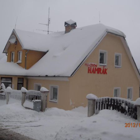 Ceske Hamry Penzion Hamrak מראה חיצוני תמונה